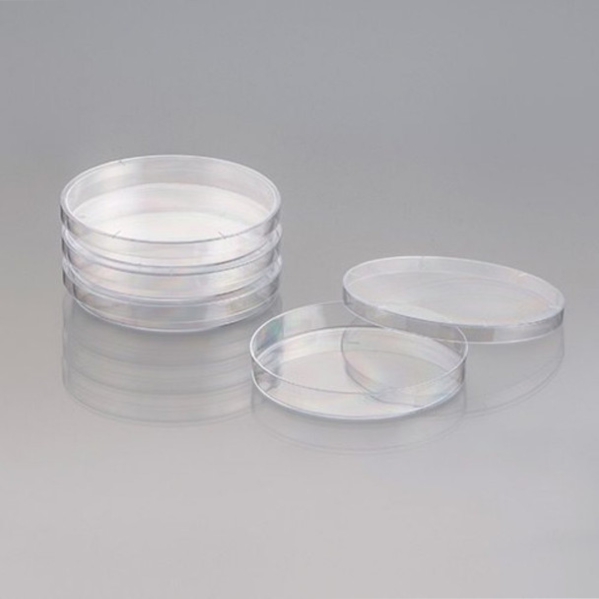 20 Petri Dishes - For Mycology and Agar Culture - Gamma Radiated